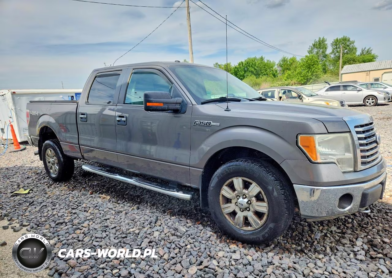 2010 Ford F150 Supercrew VIN:1FTFW1EV2AFC89223 - 4