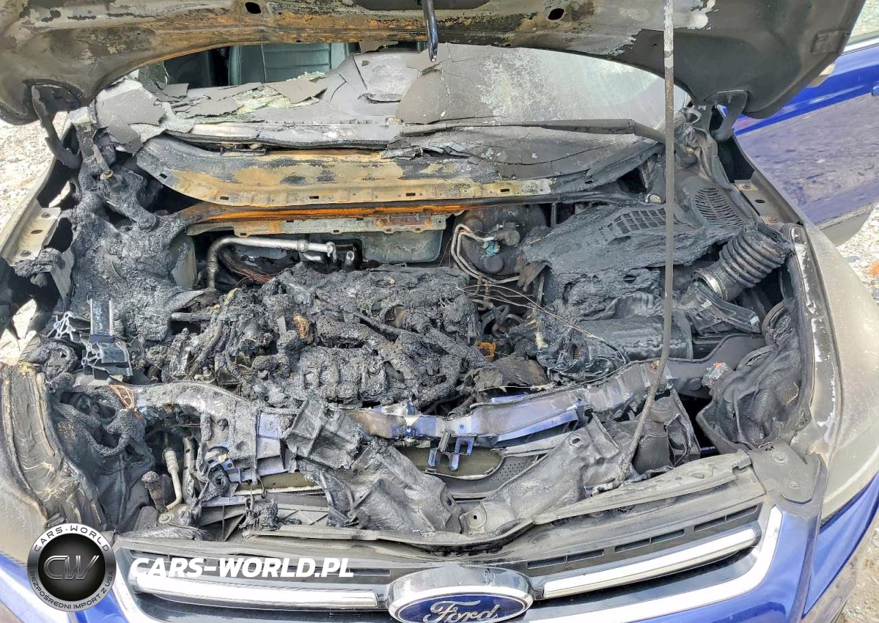 2014 Ford Escape Titanium VIN:1FMCU0JX5EUC06682 - 12