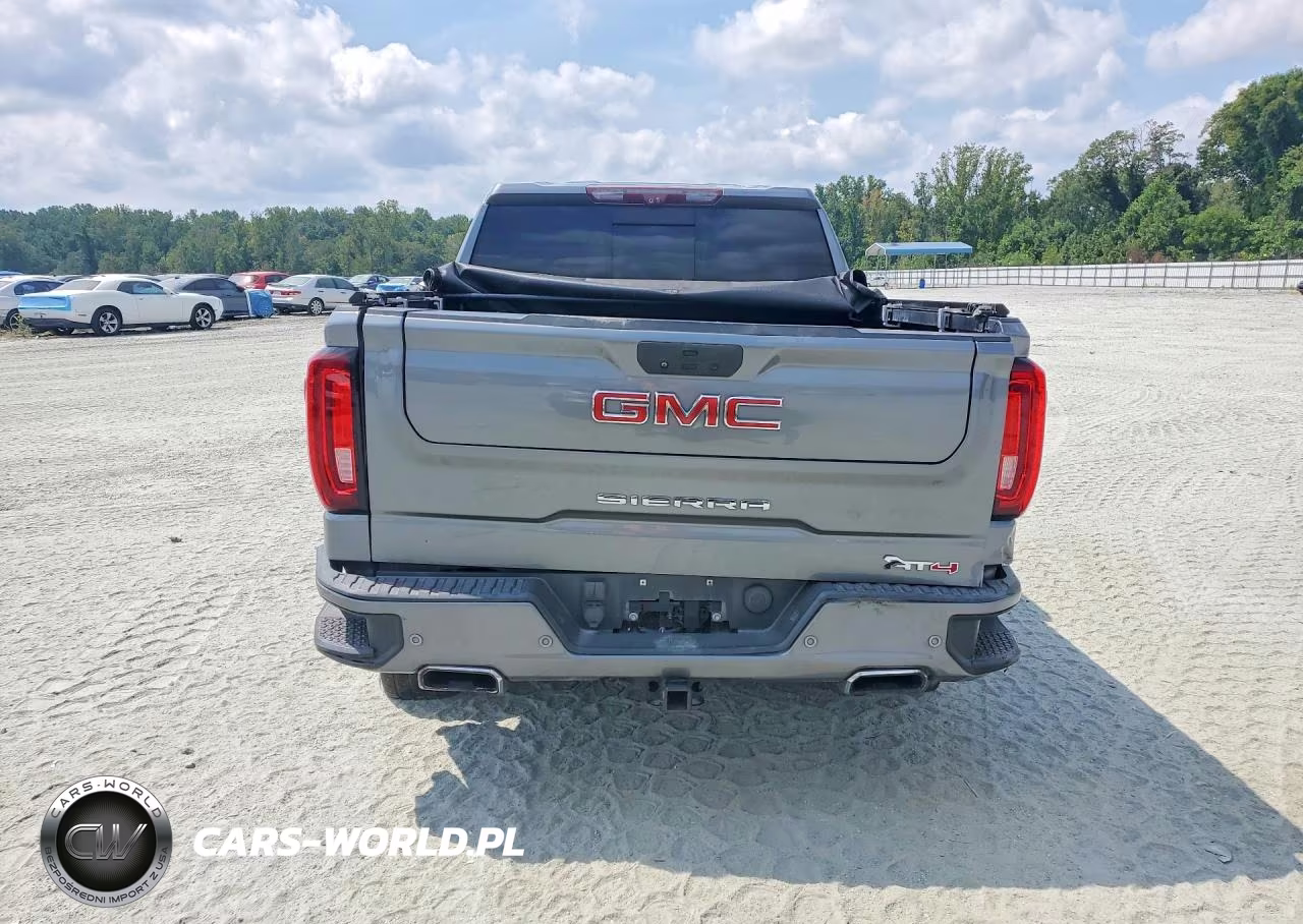 2020 GMC Sierra K1500 At4 VIN:3GTP9EEL9LG127172 - 6