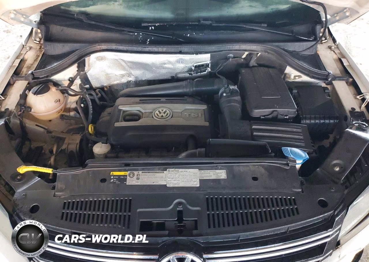 2016 Volkswagen Tiguan S VIN:WVGAV7AX9GW602022 - 12