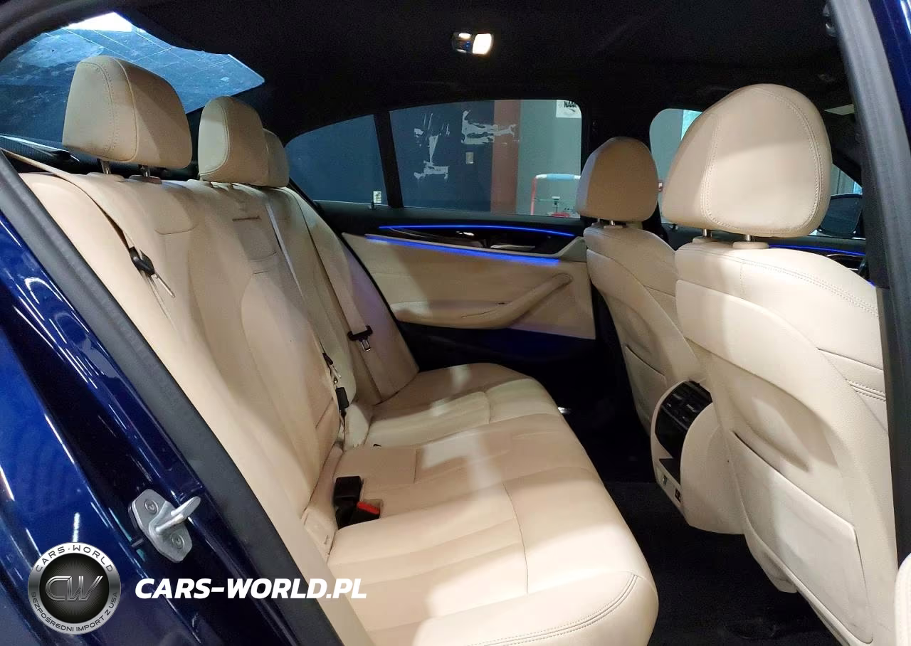 2020 BMW 530 Xi VIN:WBAJR7C06LWW62520 - 10