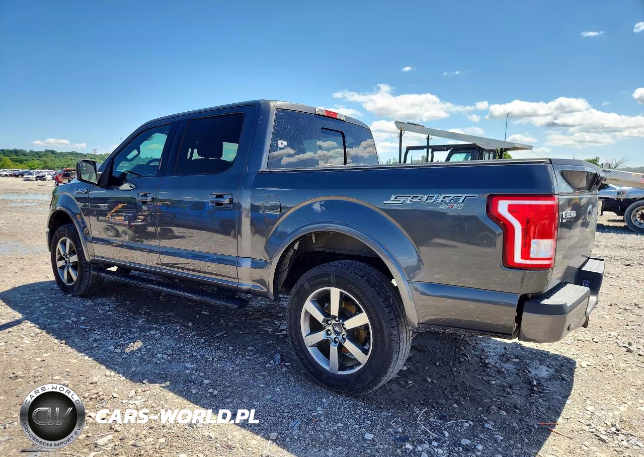 2015 Ford F150 Supercrew VIN:1FTEW1EP6FFC28784 - 2