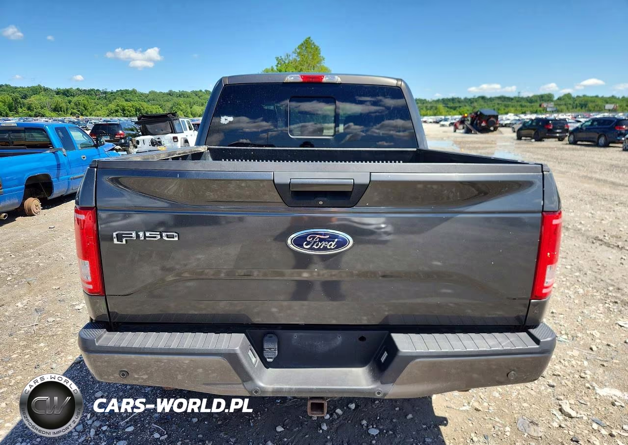 2015 Ford F150 Supercrew VIN:1FTEW1EP6FFC28784 - 6