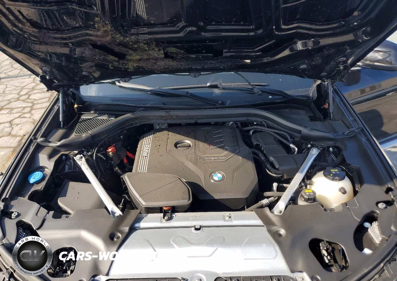 2022 BMW X3 xDrive30I VIN:WBX57DP00NN162304 - 12