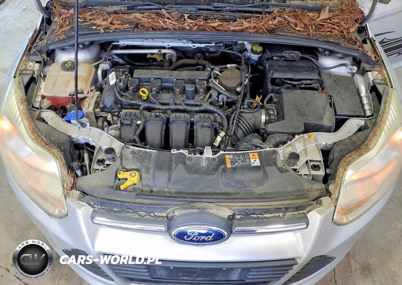 2014 Ford Focus Se VIN:1FADP3F22EL425089 - 11