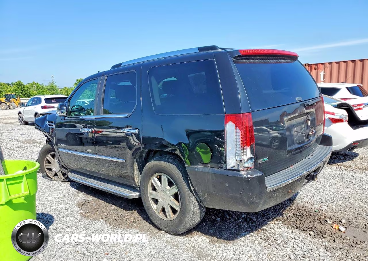 2010 Cadillac Escalade VIN:1GYUCAEF8AR171338 - 2