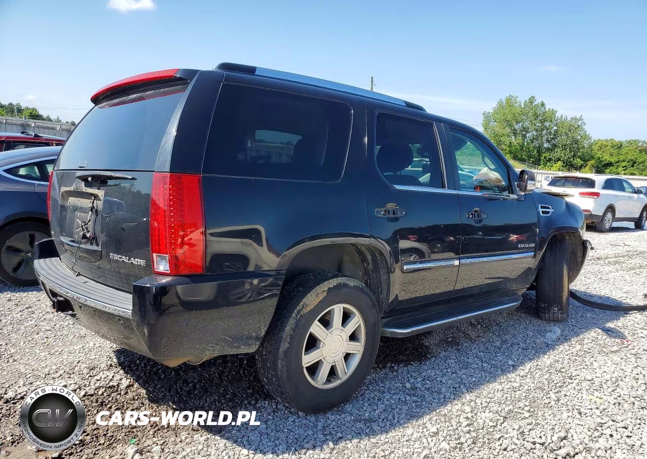 2010 Cadillac Escalade VIN:1GYUCAEF8AR171338 - 3
