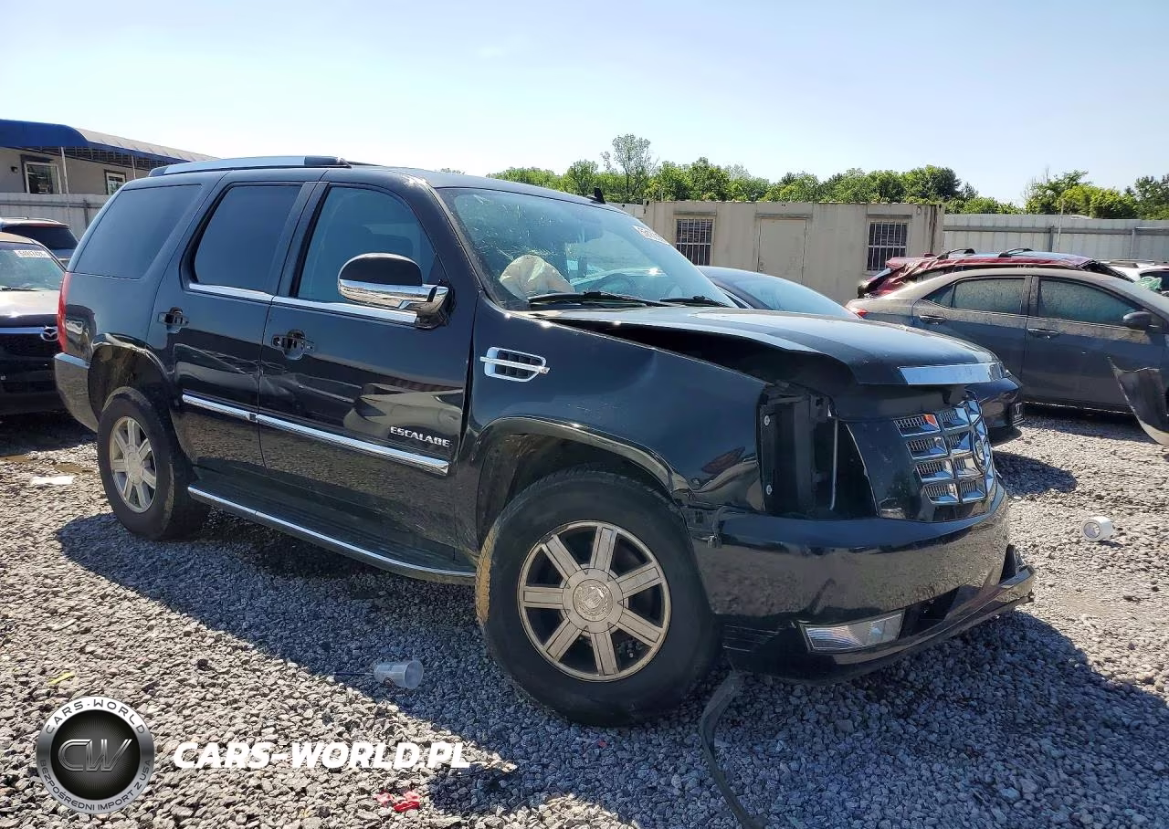 2010 Cadillac Escalade VIN:1GYUCAEF8AR171338 - 4