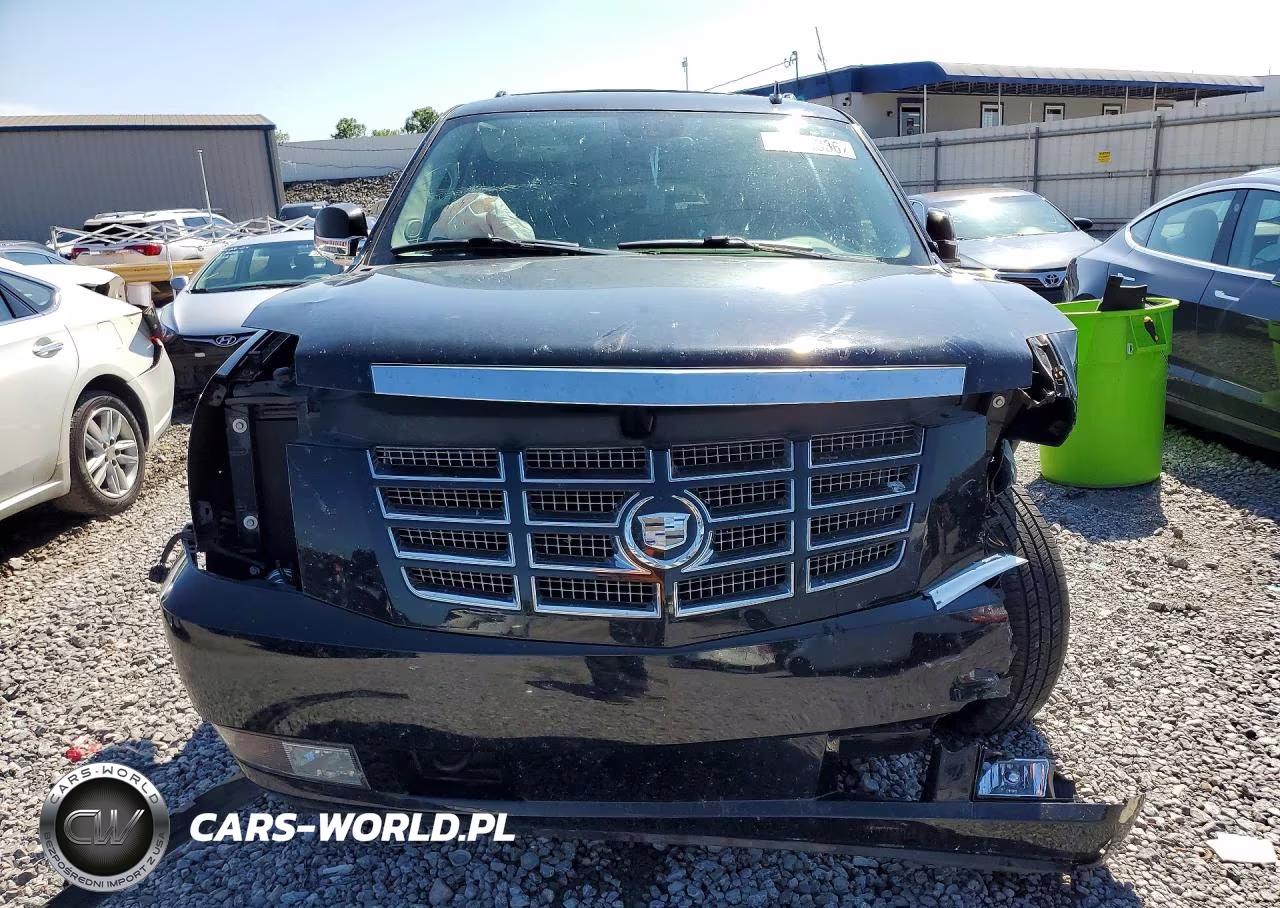 2010 Cadillac Escalade VIN:1GYUCAEF8AR171338 - 5