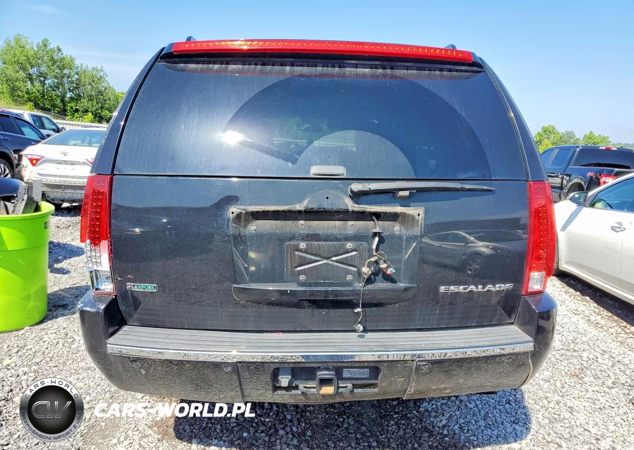 2010 Cadillac Escalade VIN:1GYUCAEF8AR171338 - 6
