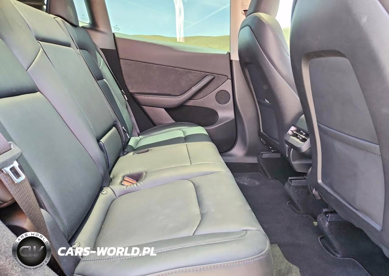 2023 Tesla Model Y VIN:7SAYGDEEXPA042391 - 10