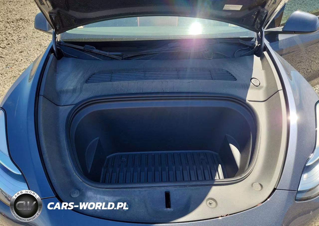 2023 Tesla Model Y VIN:7SAYGDEEXPA042391 - 11