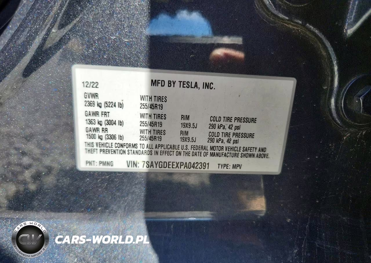 2023 Tesla Model Y VIN:7SAYGDEEXPA042391 - 12