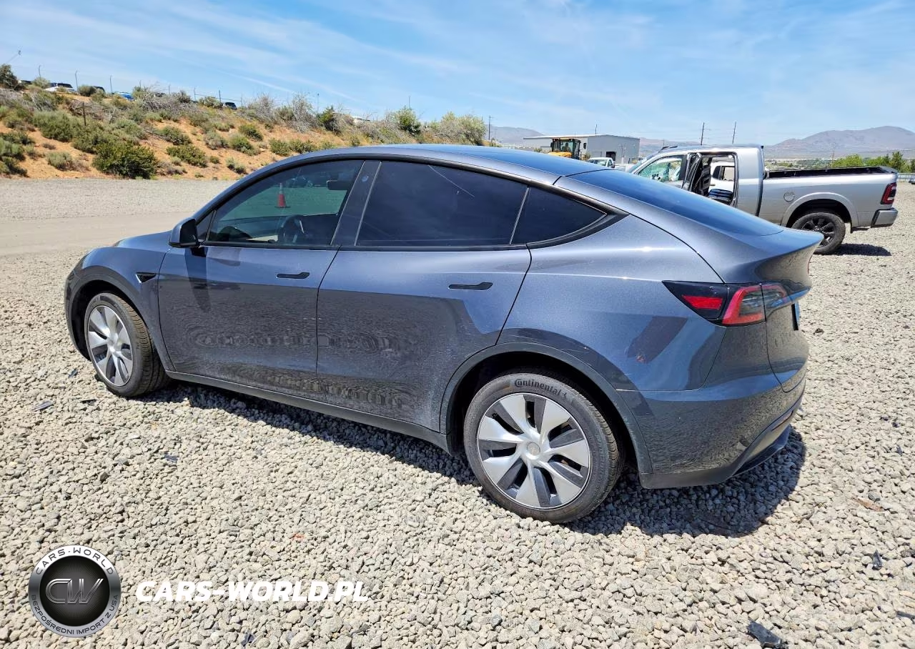 2023 Tesla Model Y VIN:7SAYGDEEXPA042391 - 2