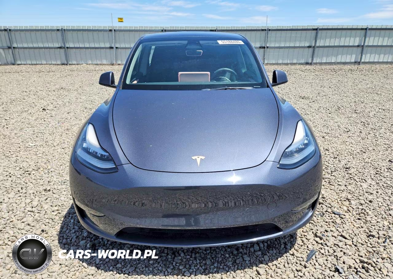2023 Tesla Model Y VIN:7SAYGDEEXPA042391 - 5
