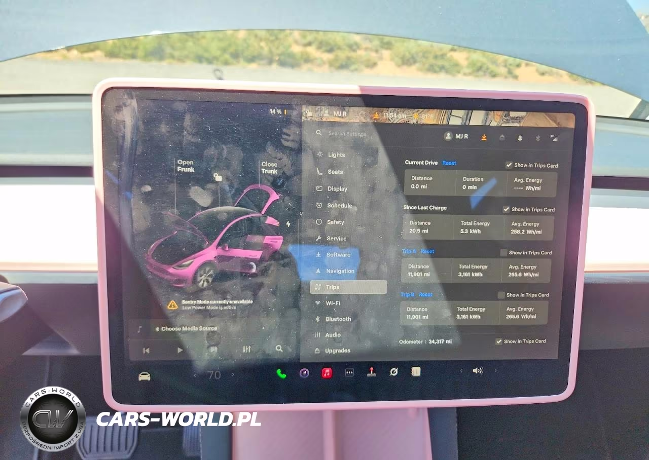 2023 Tesla Model Y VIN:7SAYGDEEXPA042391 - 9