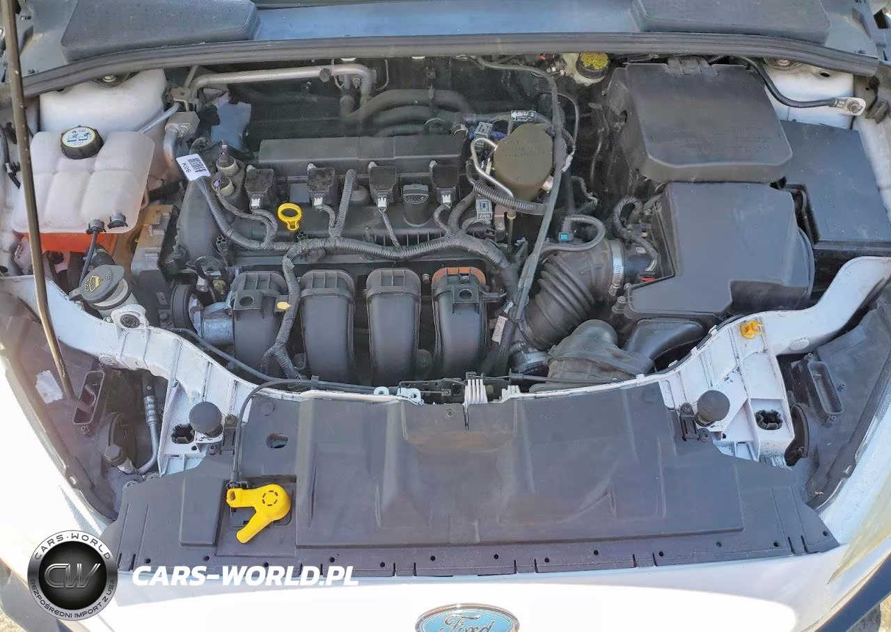 2015 Ford Focus Se VIN:1FADP3F28FL263664 - 11