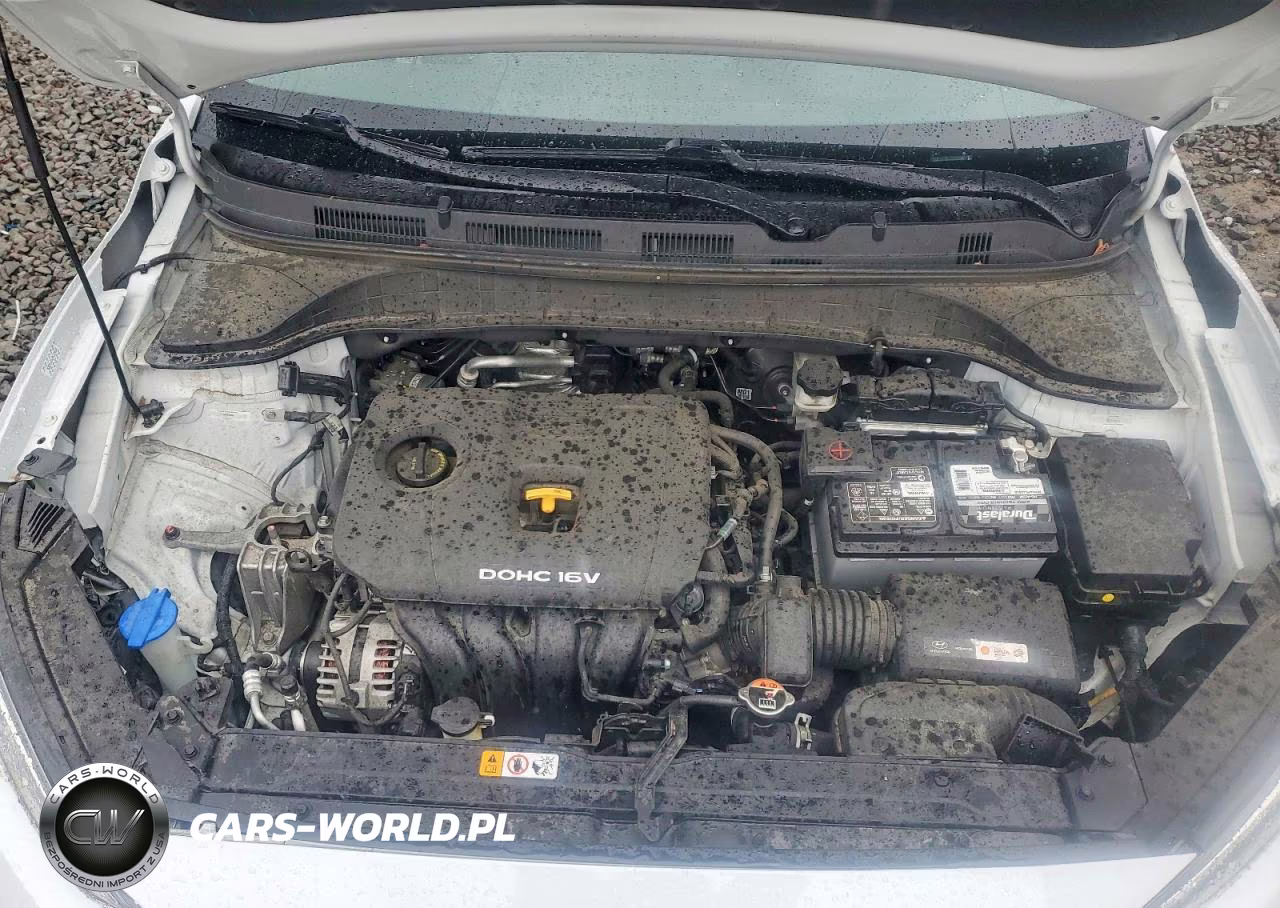 2019 Hyundai Kona Sel VIN:KM8K2CAA7KU192035 - 12