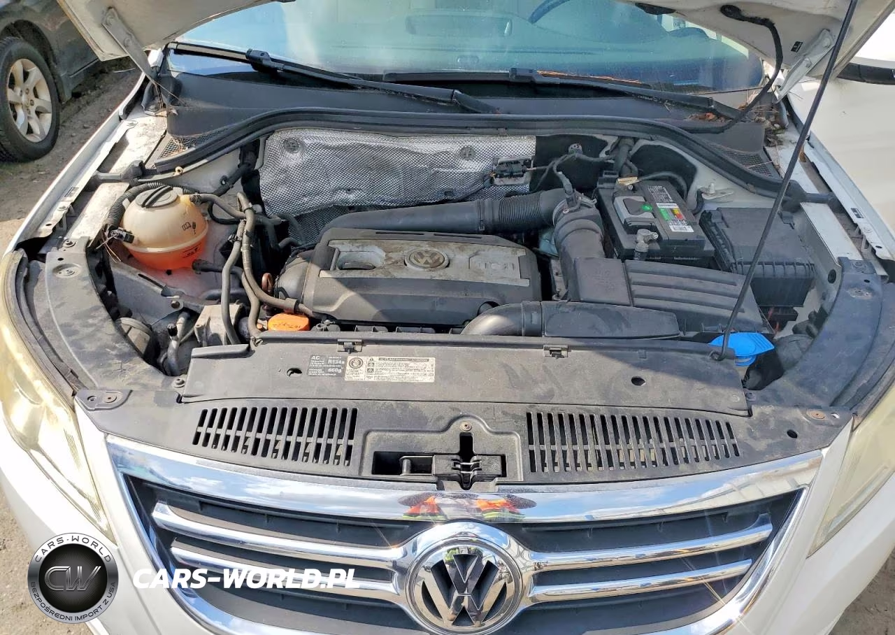 2010 Volkswagen Tiguan S VIN:WVGAV7AX9AW519844 - 12