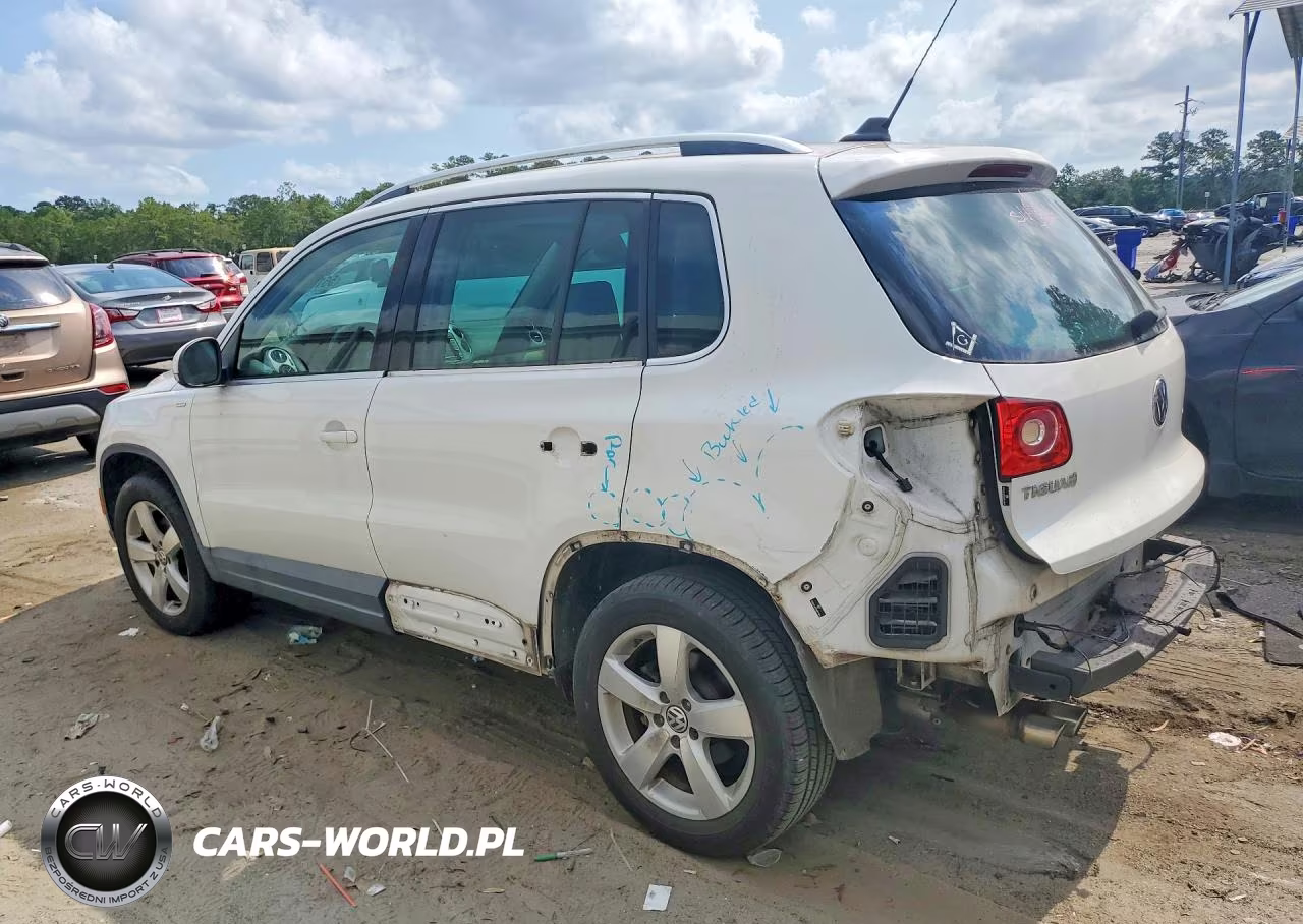 2010 Volkswagen Tiguan S VIN:WVGAV7AX9AW519844 - 2