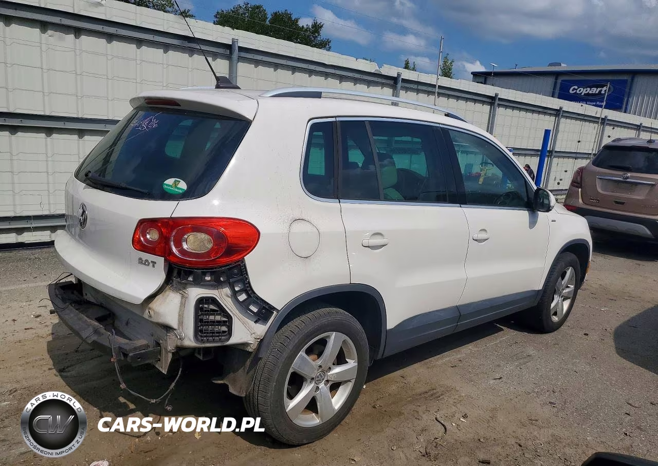 2010 Volkswagen Tiguan S VIN:WVGAV7AX9AW519844 - 3