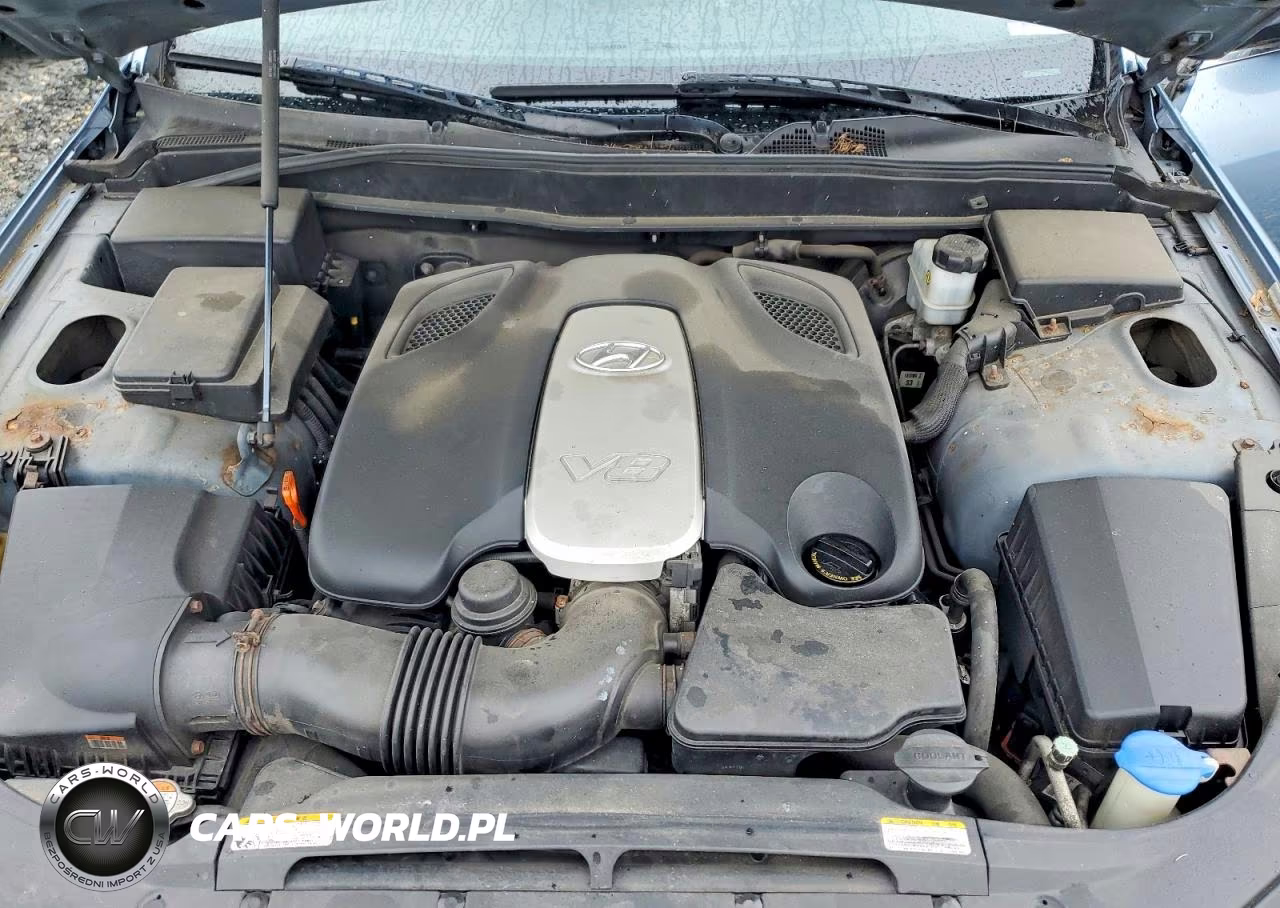 2010 Hyundai Genesis 4.6L VIN:KMHGC4DF2AU071685 - 11