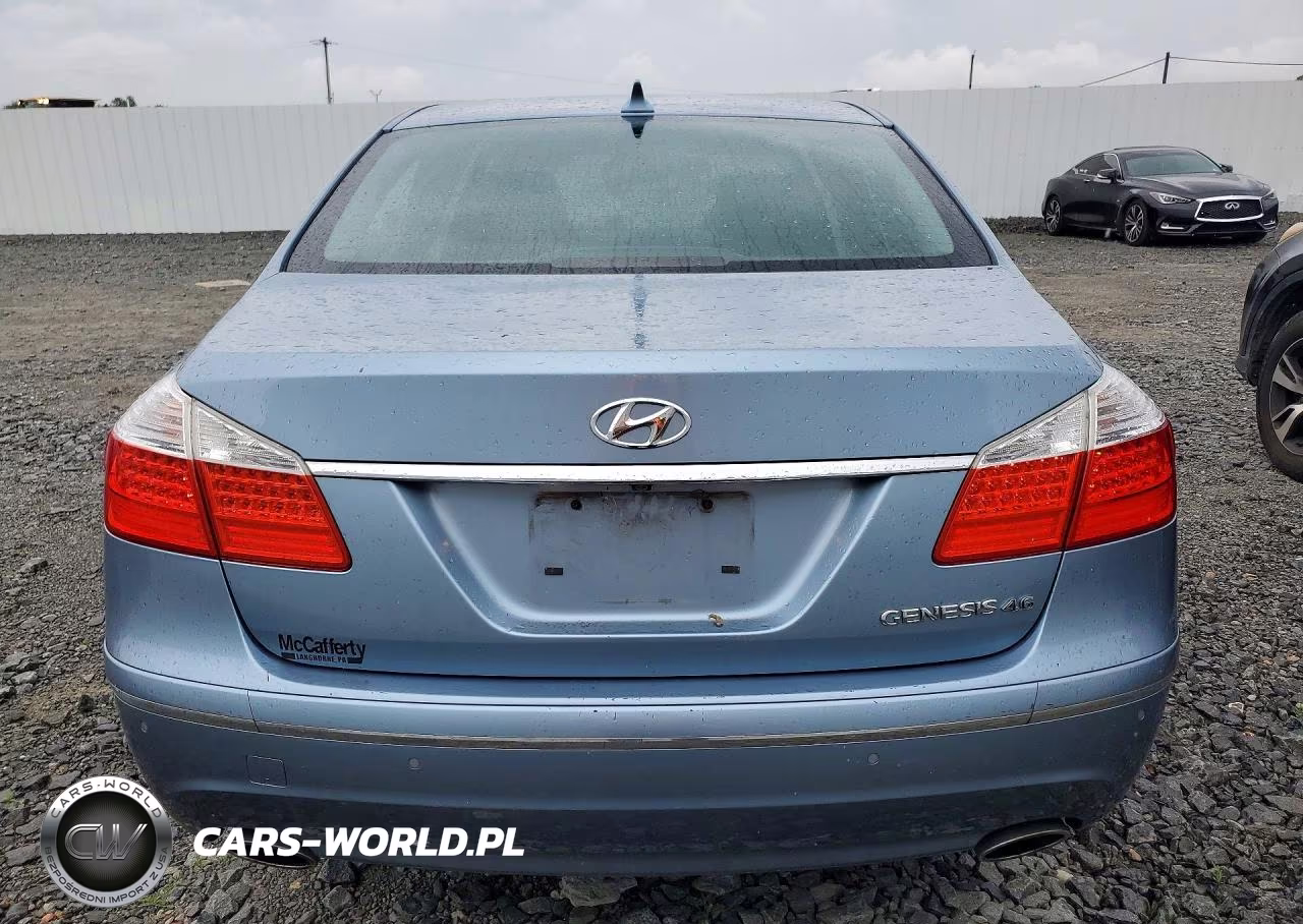 2010 Hyundai Genesis 4.6L VIN:KMHGC4DF2AU071685 - 6