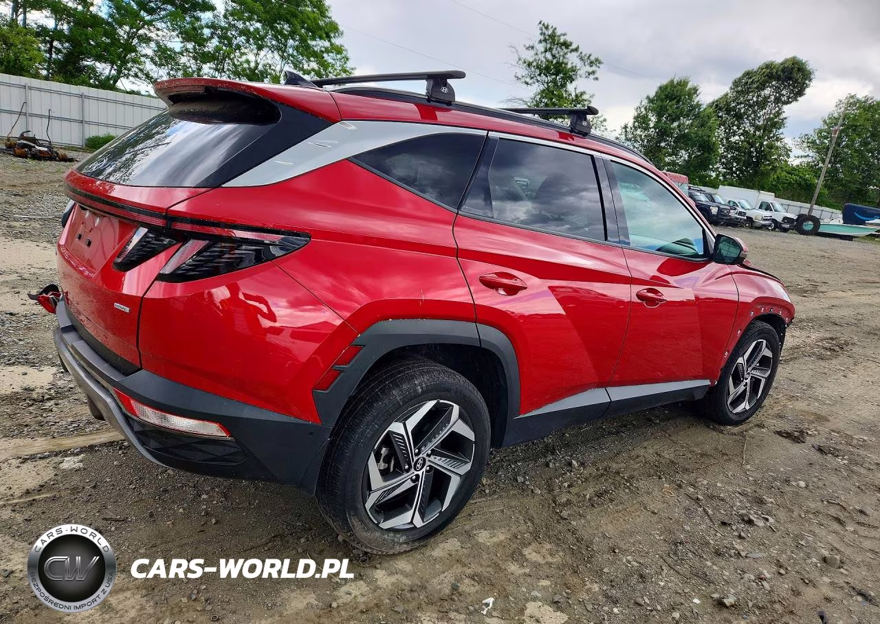 2023 Hyundai Tucson Limited VIN:5NMJECAE8PH184292 - 3