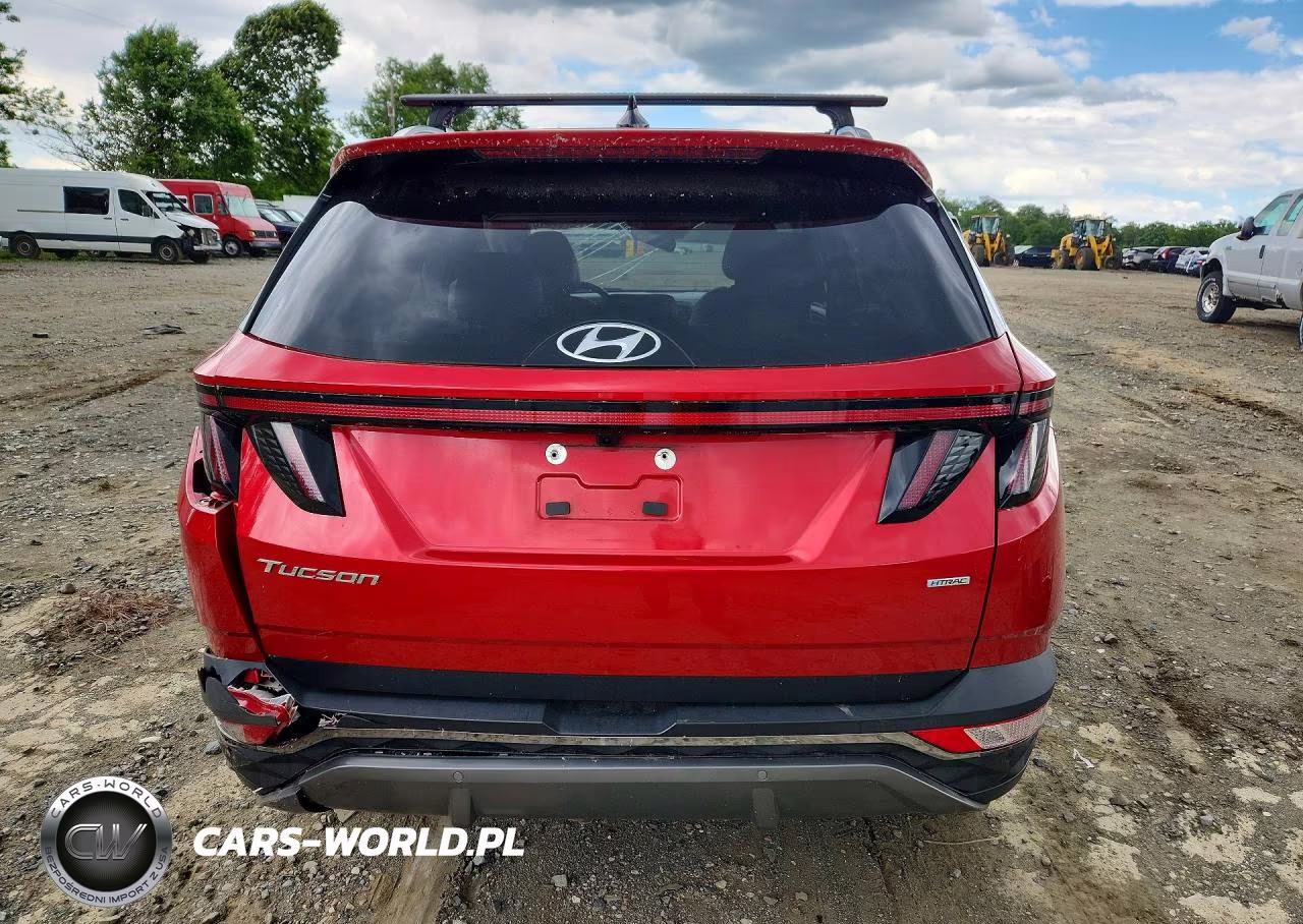 2023 Hyundai Tucson Limited VIN:5NMJECAE8PH184292 - 6