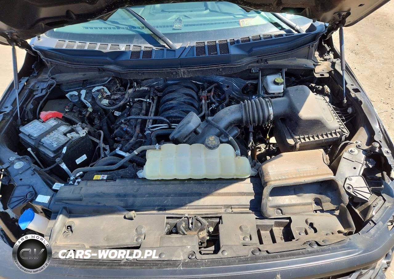 2025 Ford F150 Xl VIN:1FTMF1K58SKE50338 - 11