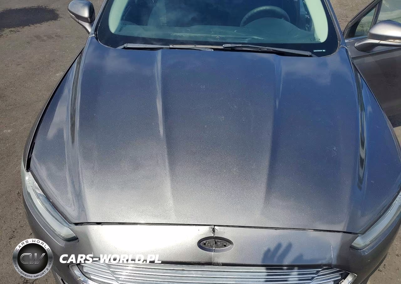 FORD FUSION SE VIN:3FA6P0H75DR202822 - 11