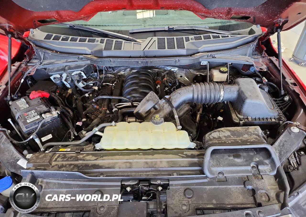 2023 Ford F150 VIN:1FTMF1E58PKE16385 - 11