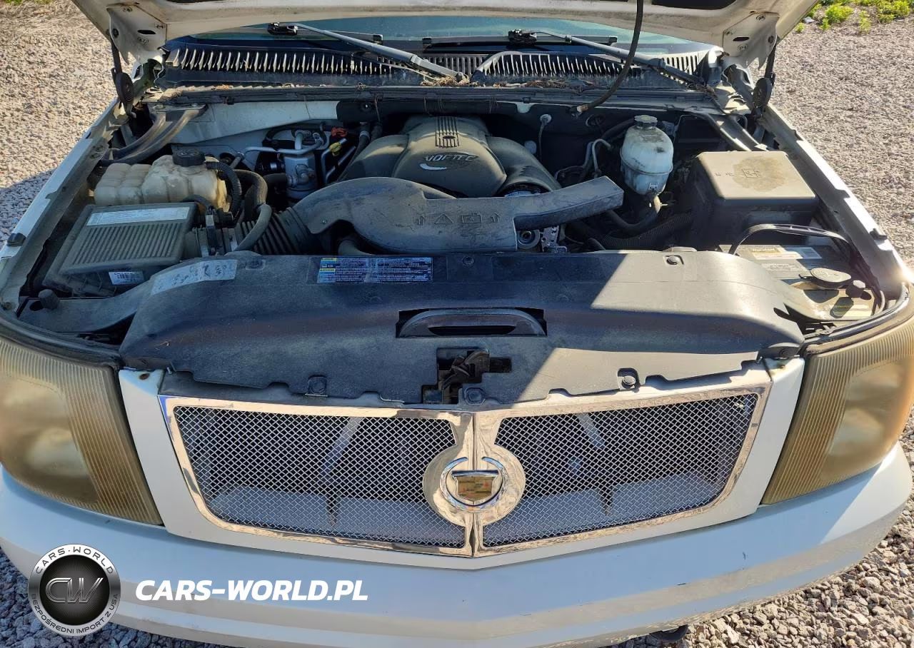 2005 Cadillac Escalade Luxury VIN:1GYEK63N35R111309 - 12