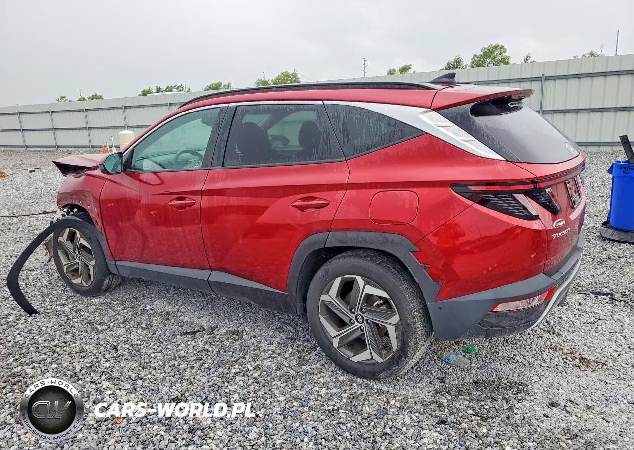 2024 Hyundai Tucson Limited VIN:5NMJE3DEXRH407818 - 2