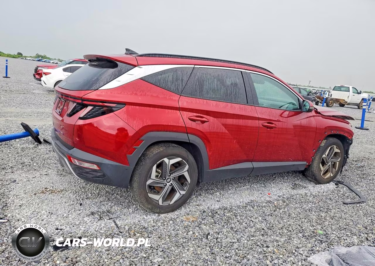 2024 Hyundai Tucson Limited VIN:5NMJE3DEXRH407818 - 3
