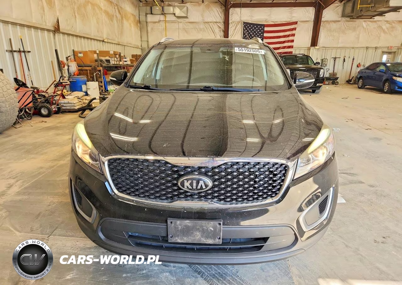 2017 Kia Sorento Lx V6 VIN:5XYPG4A59HG196988 - 5