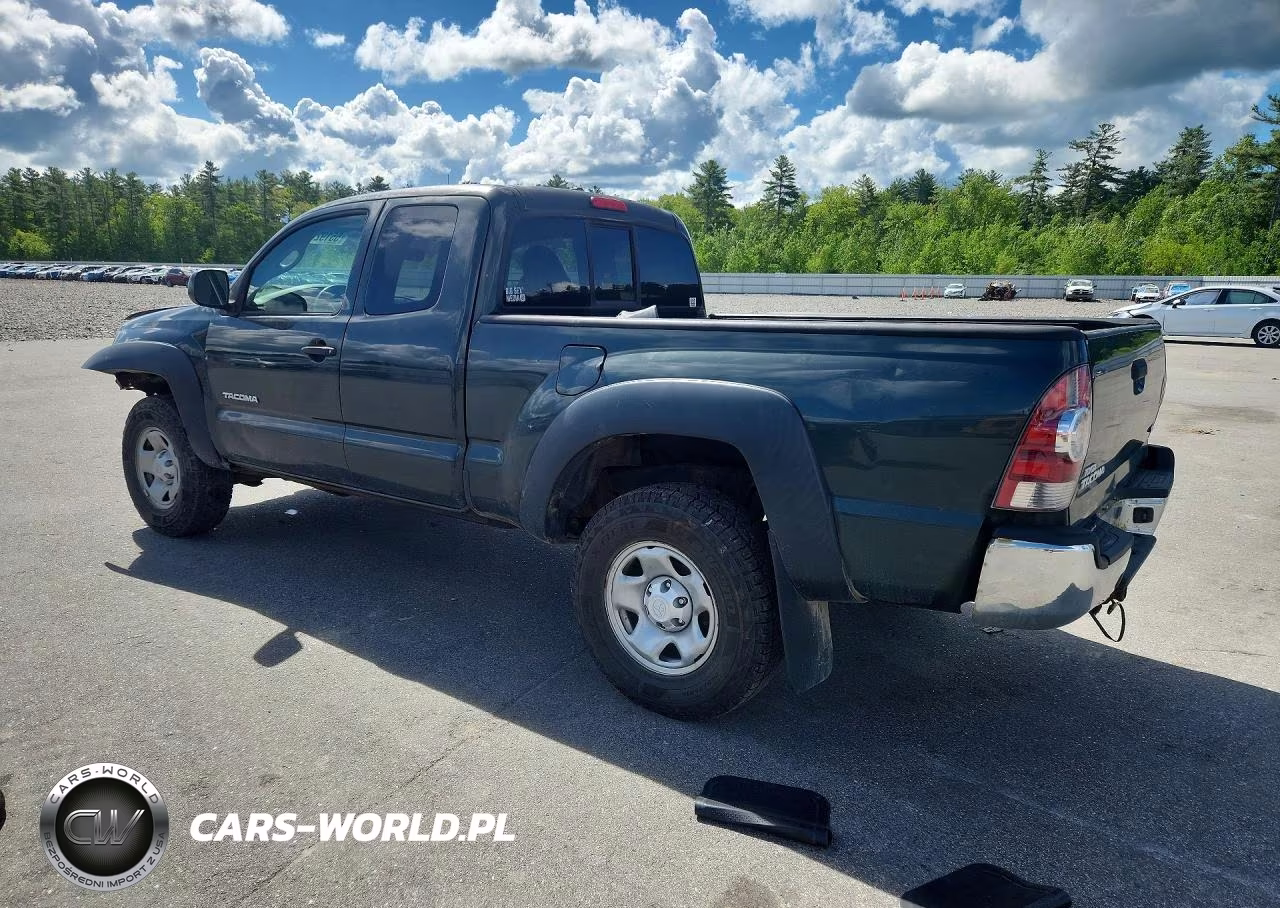 2009 Toyota Tacoma Access Cab VIN:5TEUU42N89Z611445 - 2