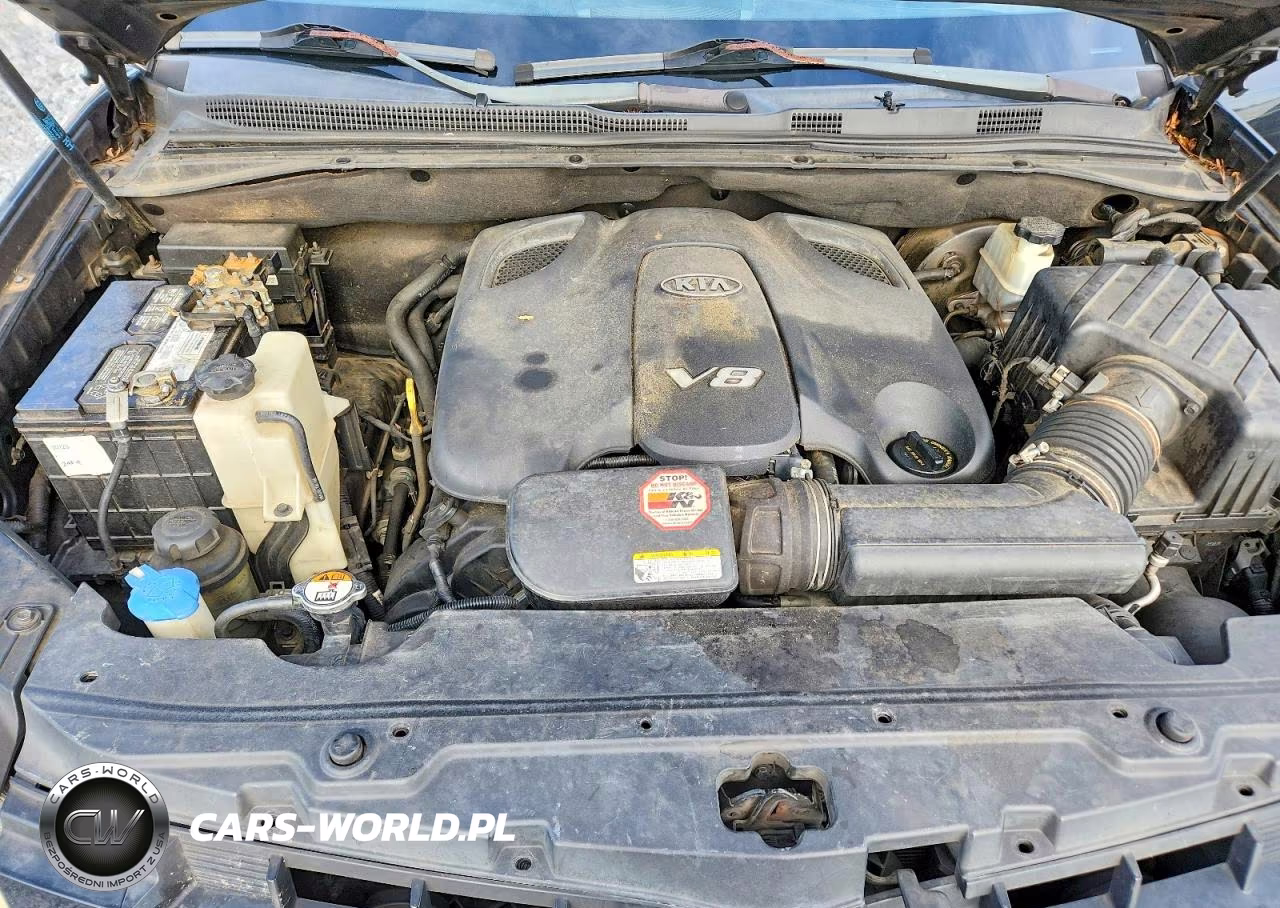 2009 Kia Borrego Ex V8 VIN:KNDJJ742295039100 - 12