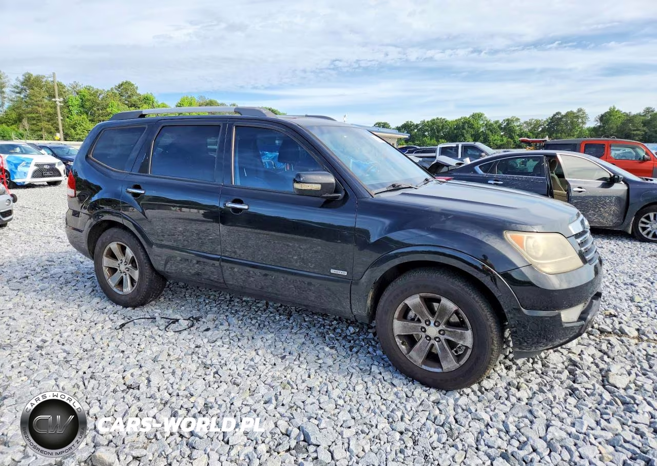 2009 Kia Borrego Ex V8 VIN:KNDJJ742295039100 - 4