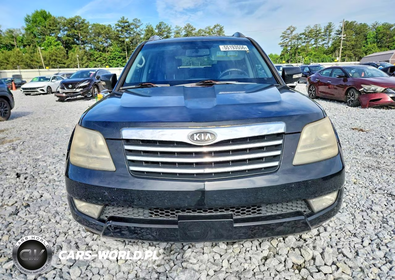 2009 Kia Borrego Ex V8 VIN:KNDJJ742295039100 - 5