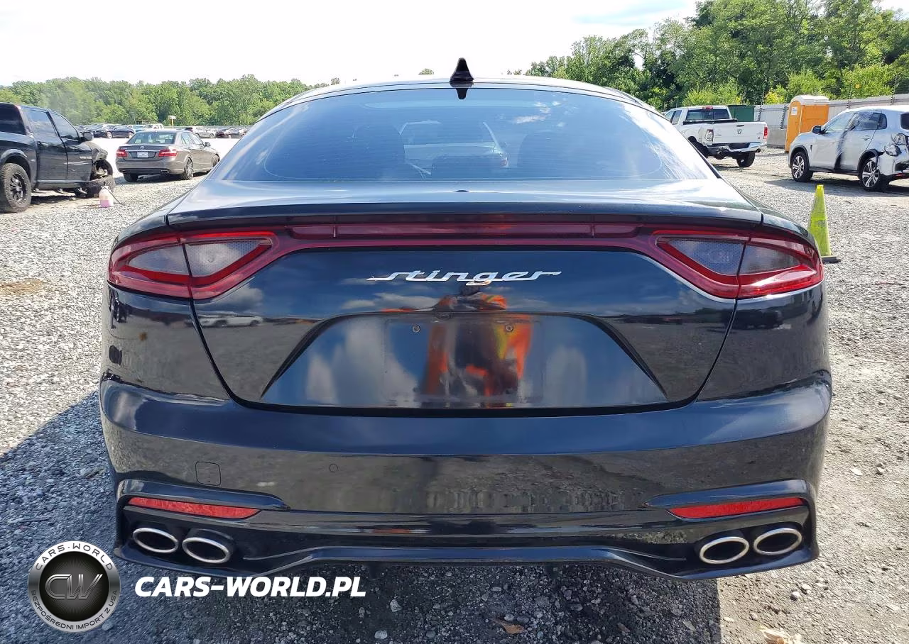 2018 Kia Stinger Base VIN:KNAE15LA1J6013209 - 6