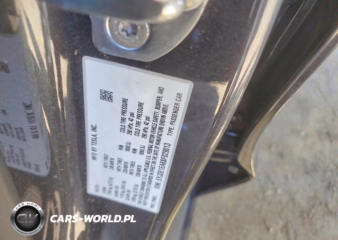 2025 Tesla Model 3 VIN:5YJ3E1EA6SF029013 - 12