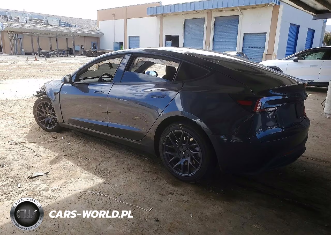 2025 Tesla Model 3 VIN:5YJ3E1EA6SF029013 - 2