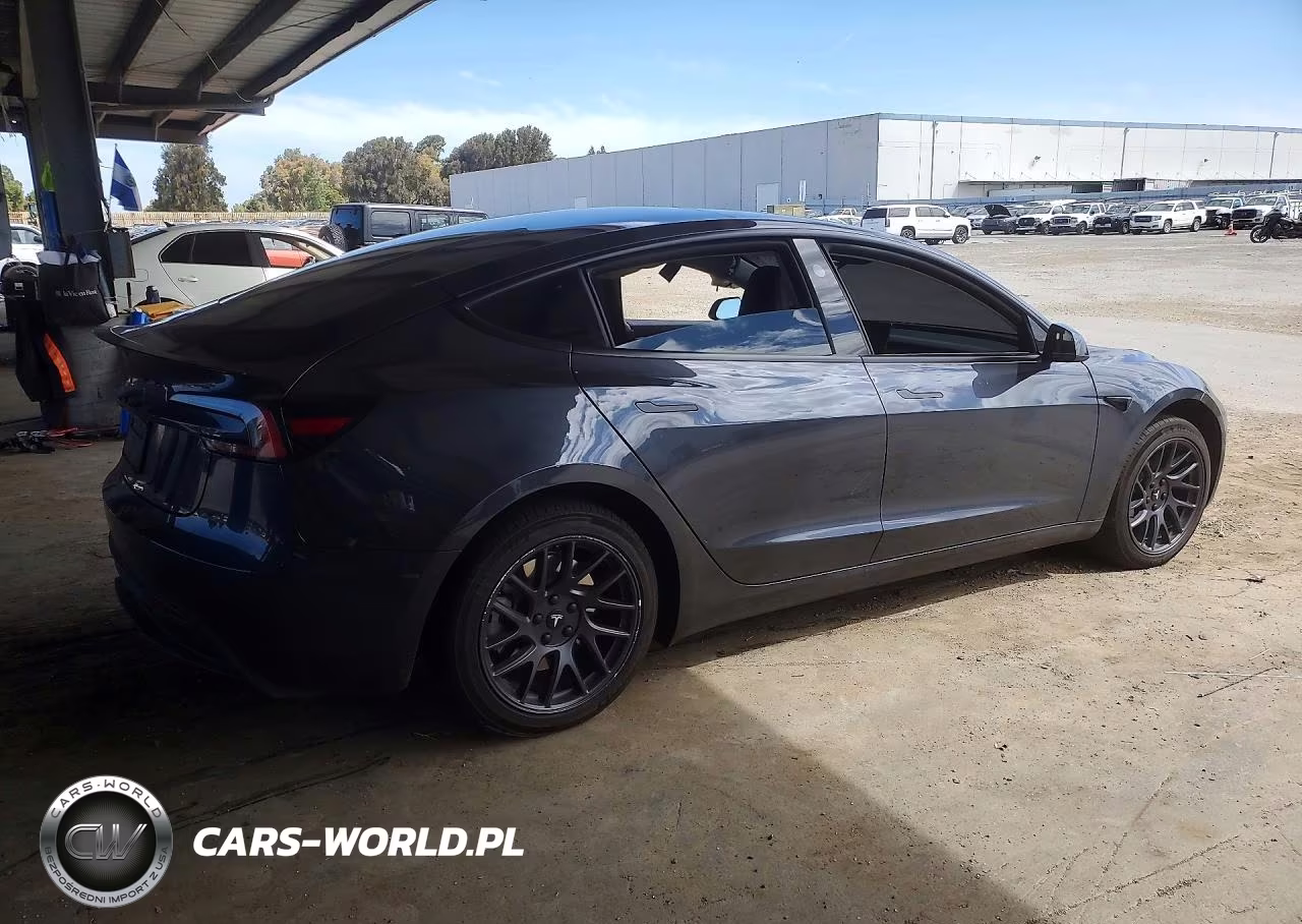 2025 Tesla Model 3 VIN:5YJ3E1EA6SF029013 - 3
