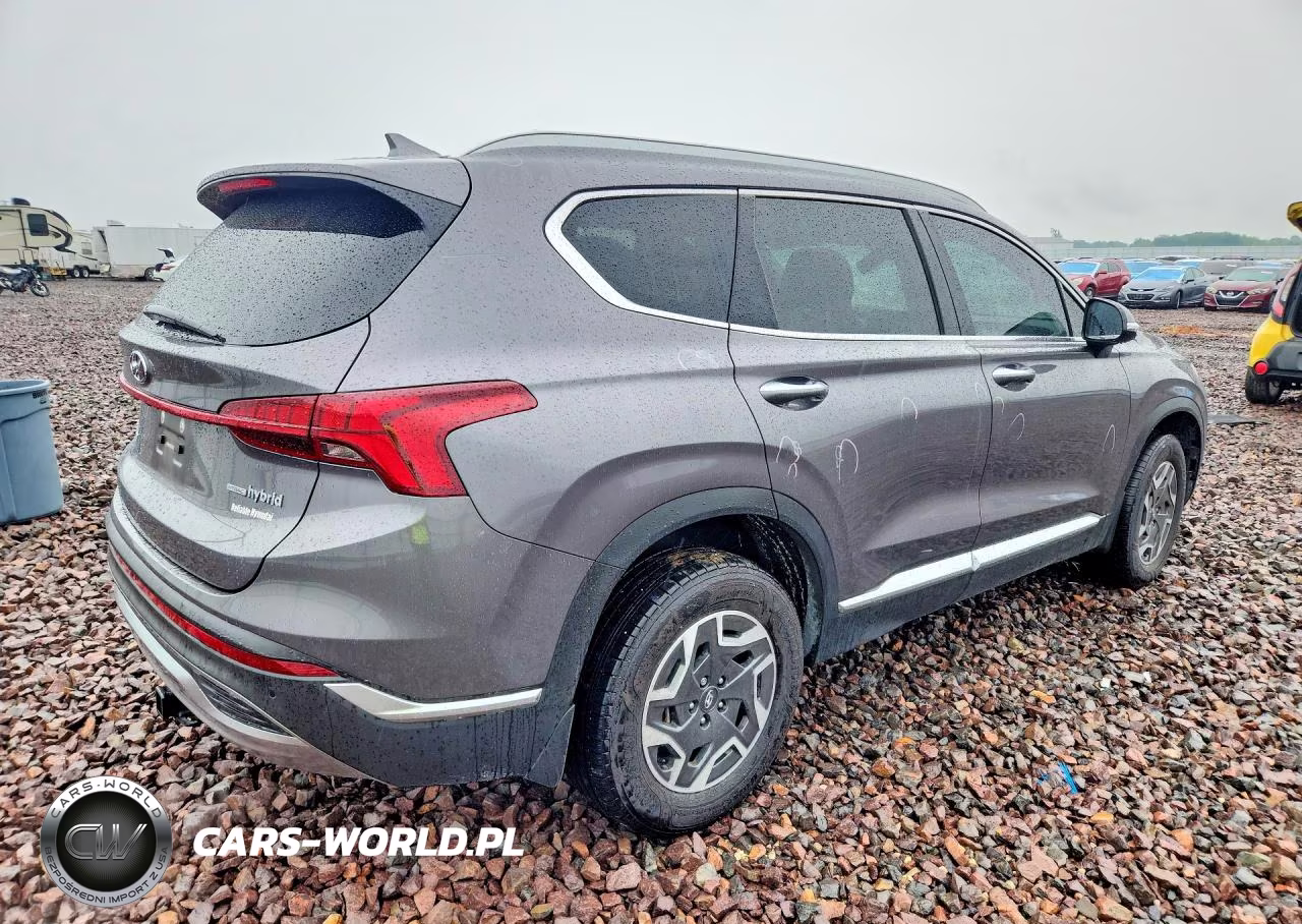 2022 Hyundai Santa Fe Blue VIN:KM8S2DA1XNU028515 - 2