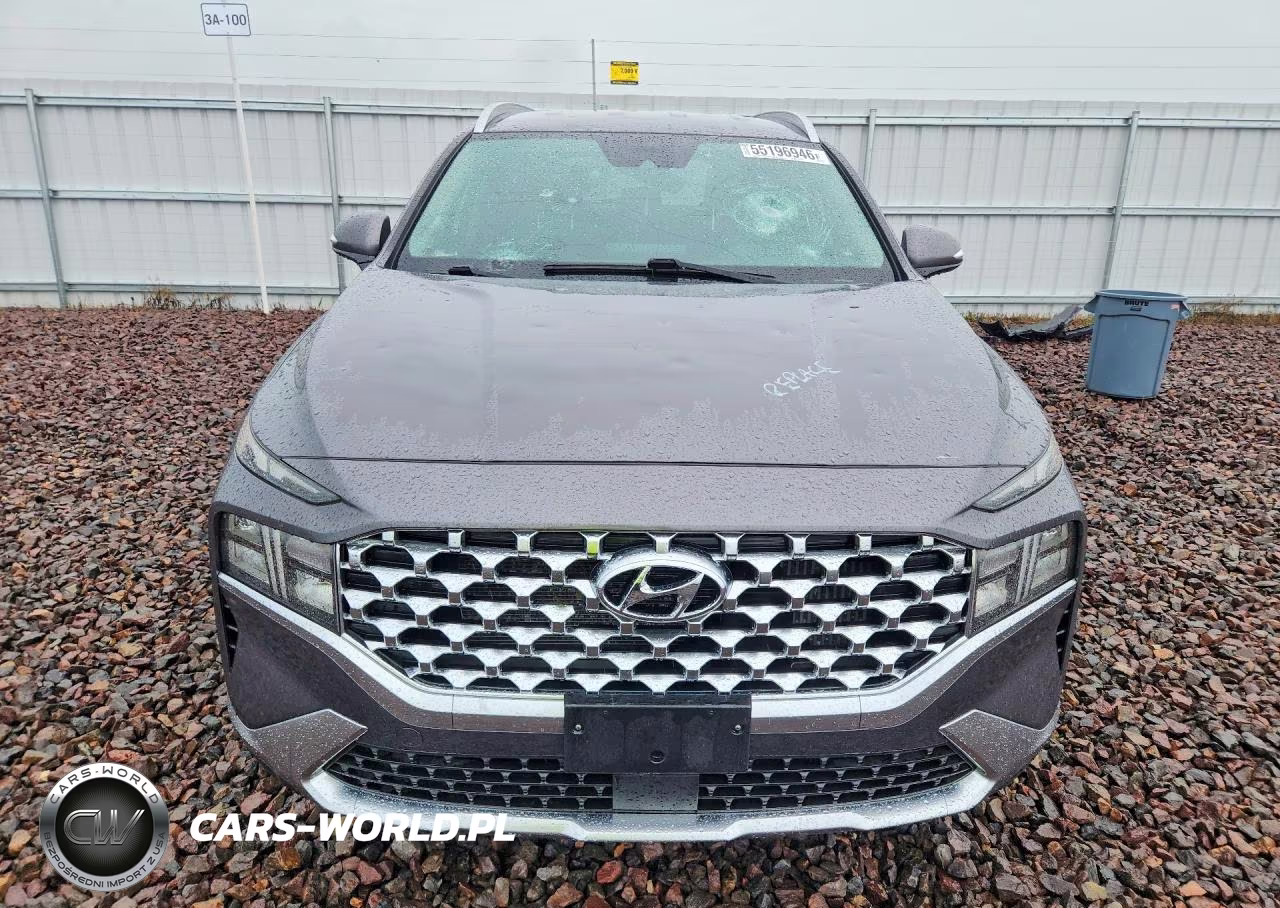 2022 Hyundai Santa Fe Blue VIN:KM8S2DA1XNU028515 - 4