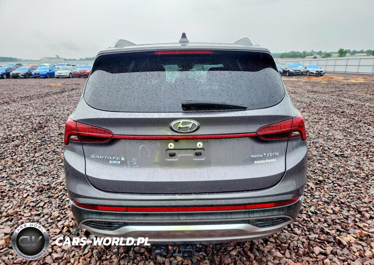 2022 Hyundai Santa Fe Blue VIN:KM8S2DA1XNU028515 - 5