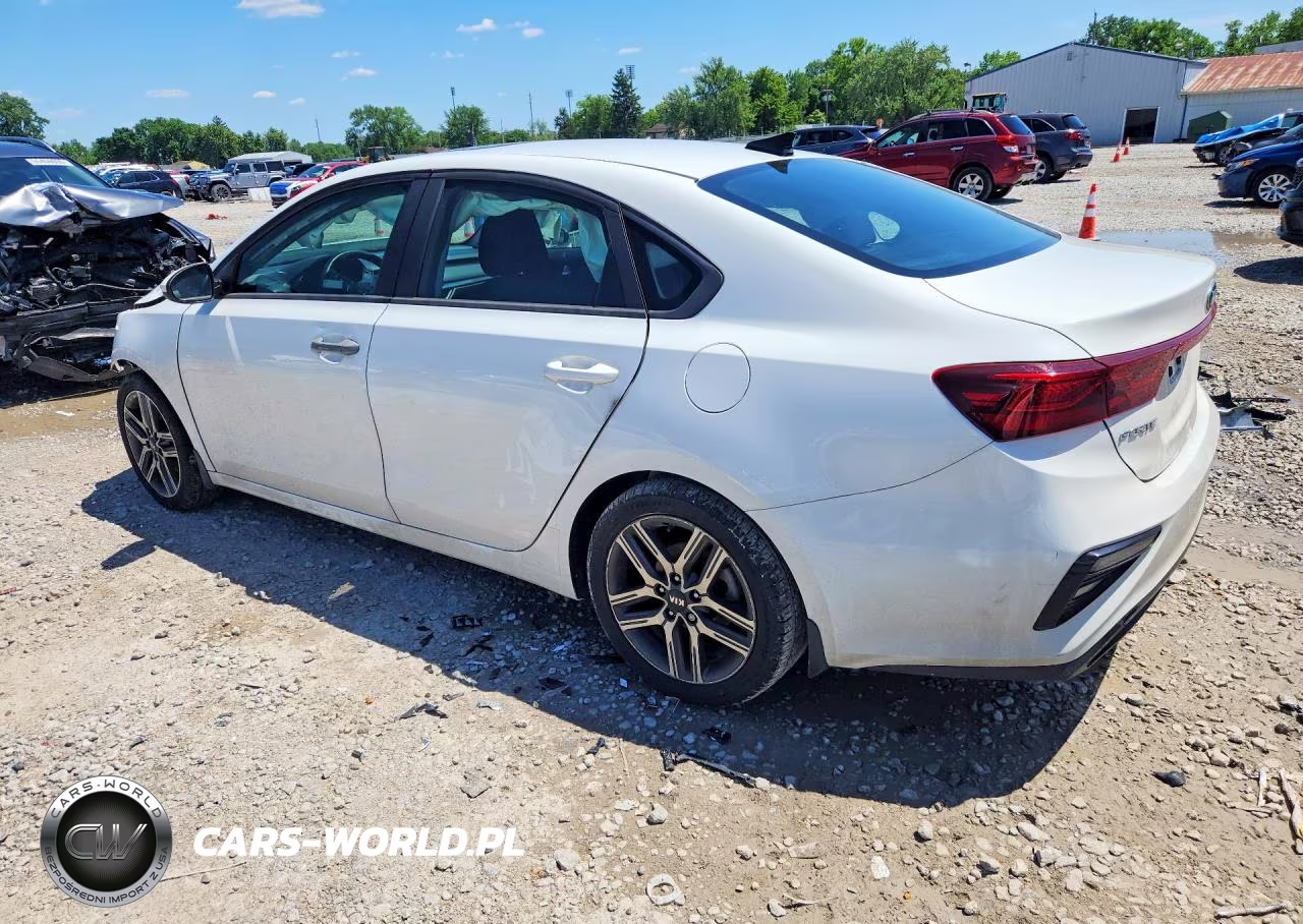 2019 Kia Forte S VIN:3KPF34AD1KE071910 - 2