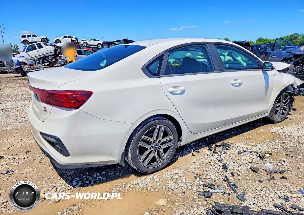 2019 Kia Forte S VIN:3KPF34AD1KE071910 - 3