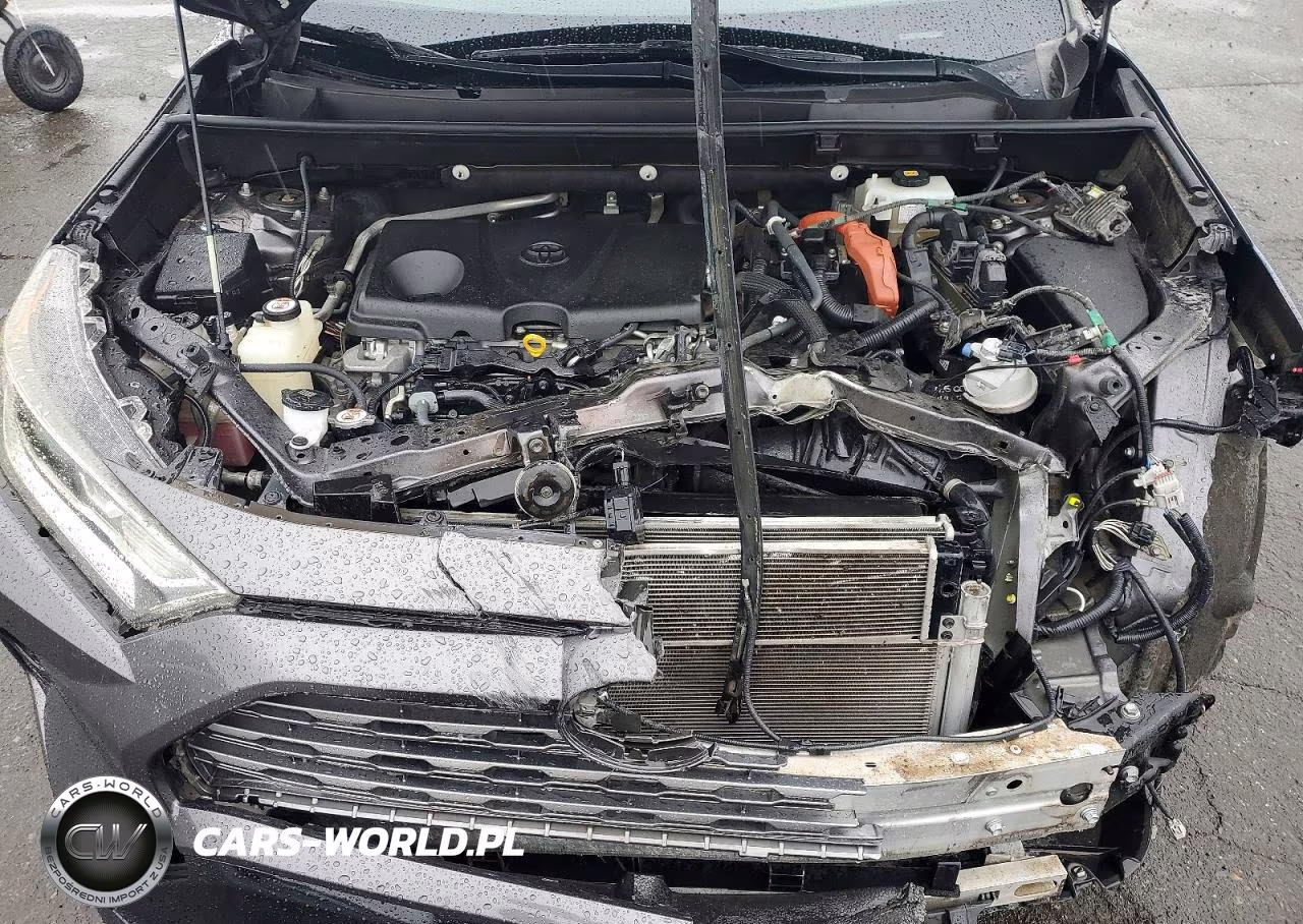 2019 Toyota Rav4 Xse VIN:JTMEWRFV2KJ007721 - 11
